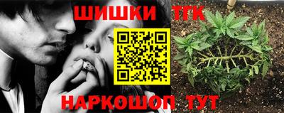 apvp Гагарин