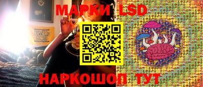 хмурый Гай