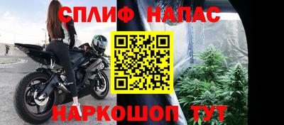хмурый Гай
