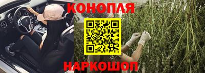 хмурый Гай