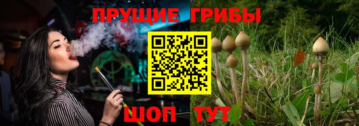 Мурино  Псилоцибиновые грибы прущие грибы  Вход с VPN 