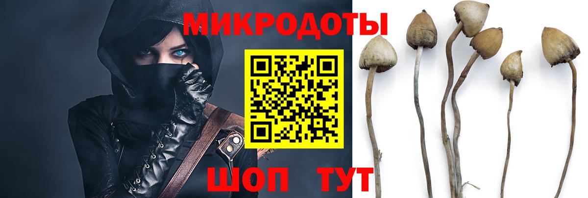 Псилоцибиновые грибы ЛСД Мурино